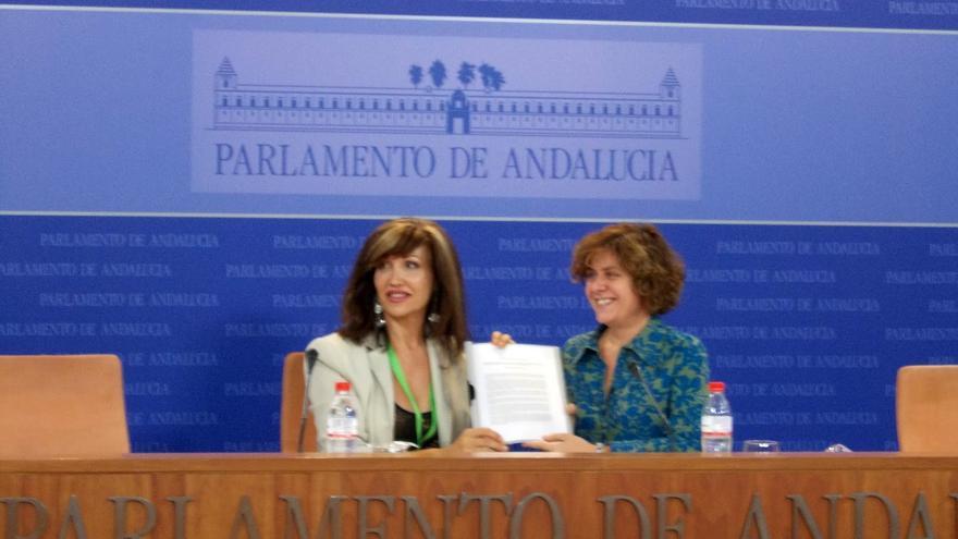 La presidenta de la Asociación de Transexuales de Andalucía, Mar Cambrollé, y la portavoz adjunta del grupo parlamentario de IULV-CA, Alba Doblas, presentaron el proyecto de ley integral el 17 de octubre de 2012.