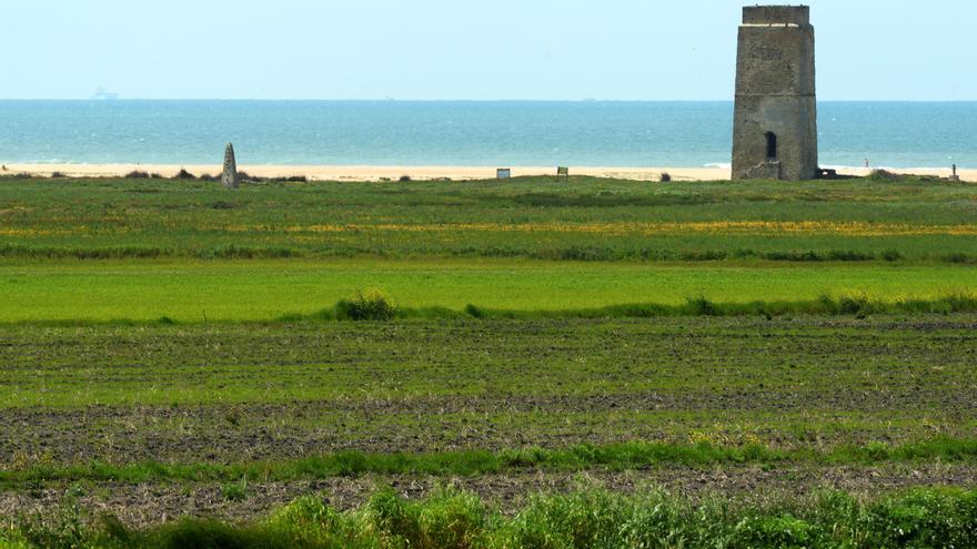 A la derecha, la torre de Castilnovo, que se sitúa a unos 500 m de la parcela hotelera de El Palmar, en el término municipal de Vejer/ Borja Benjumeda.