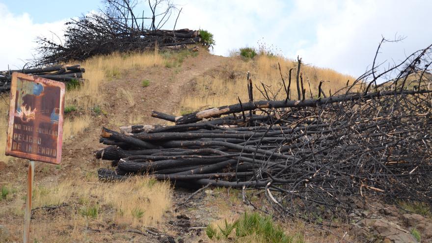 Montes del municipio de Ojén calcinados tras el mayor incendio de la Costa del Sol