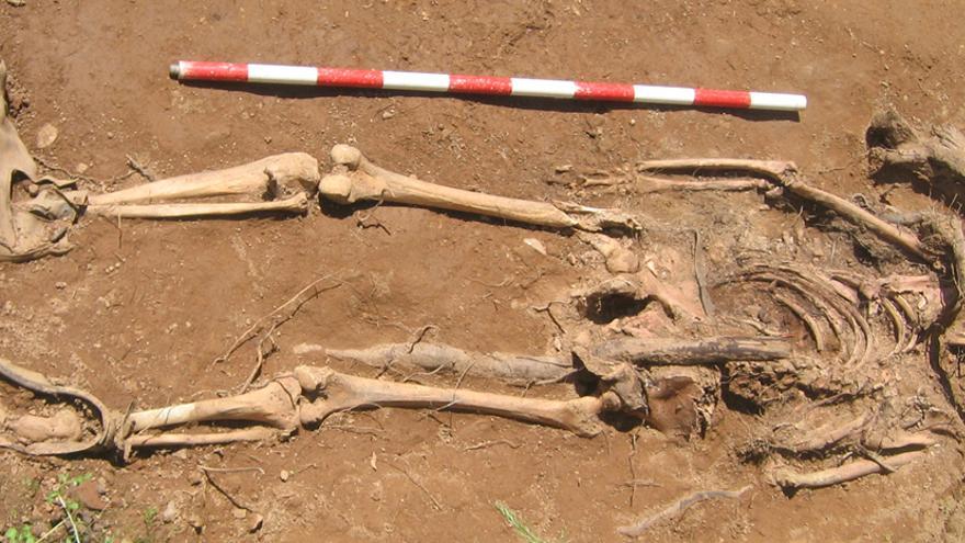 Restos humanos aparecidos en la fosa común de Encinasola (Huelva) // Foto: JUANMA GUIJO