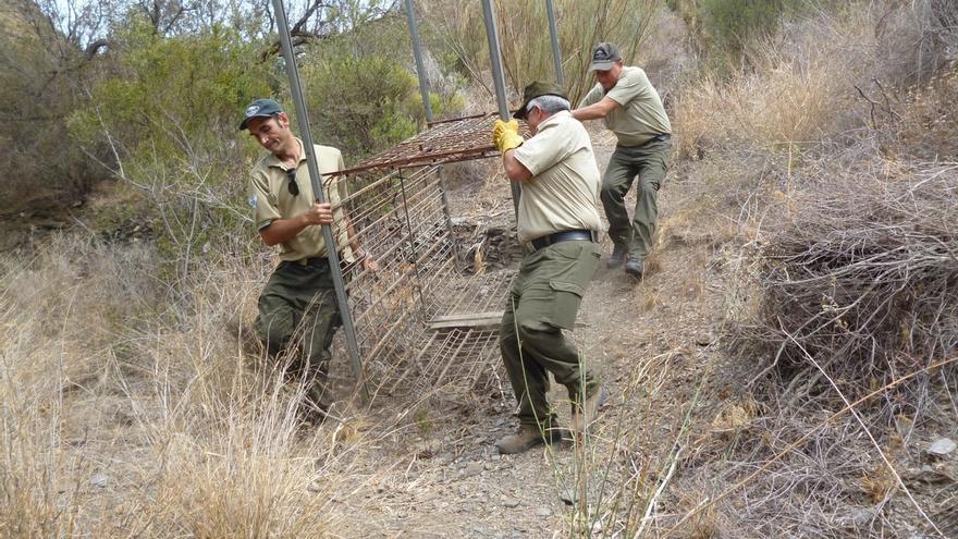 Retiran una jaula de grandes dimensiones para la caza furtiva en el Parque Natural Cabo de Gata-Níjar