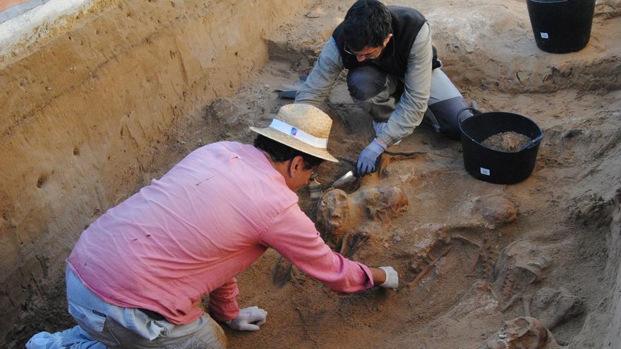 Los trabajos de exhumación en Puerto Real permitirán localizar 112 cuerpos de víctimas del franquismo