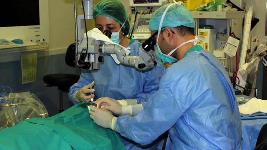 Intervención quirúrgica en un hospital del Servicio Canario de Salud. EFE