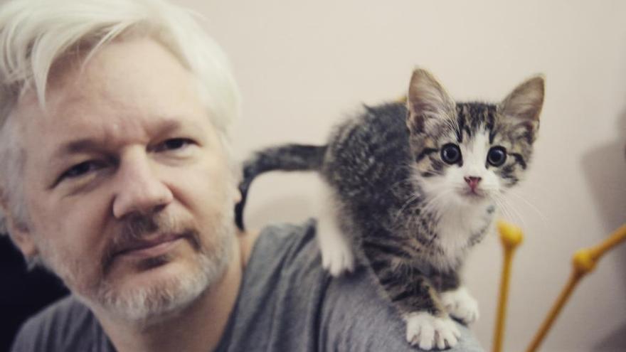 Julian Assange y su nuevo compañero de piso