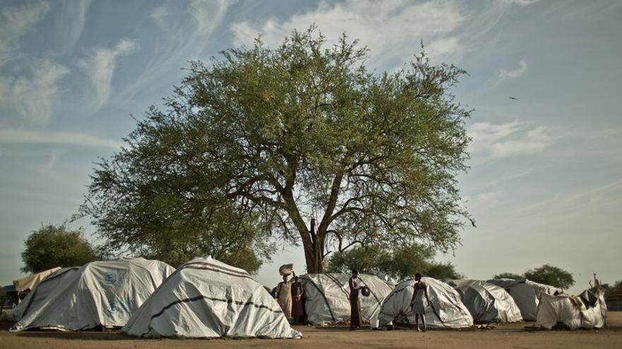 El campo de desplazados de Mingkaman, en Awerial, se ha convertido en refugio para casi 100.000 personas, principalmente de la etnia dinka, que huyeron de los enfrentamientos violentos en el estado de Jonglei, principalmente de la ciudad de Bor. Las personas que llegan necesitan agua, comida y un techo dónde refugiarse. Sudán del Sur afronta una grave crisis a causa de la violencia que se desató en diciembre de 2013 entre las fuerzas leales al presidente Salva Kiir, y los combatientes aliados al ex vicepresidente Riek Machar. Cerca de un millón de personas han tenido que abandonar sus hogares a causa de los enfrentamientos y se han quedado sin medios propios para alimentarse. Un tercio de la población sufre inseguridad alimentaria./ Pablo Tosco