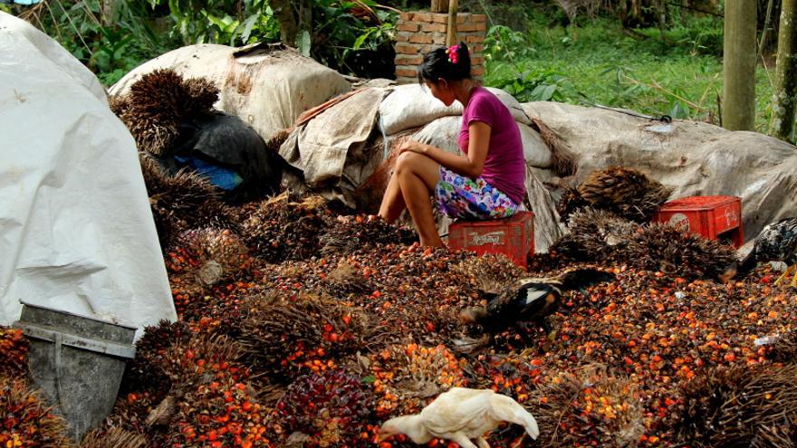 Una trabajadora separa los frutos del aceite de palma para poder procesarlos en North Sumatra, Indonesia / Laura Villadiego
