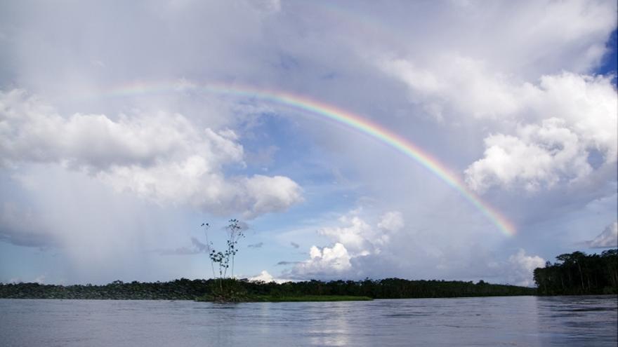 El Parque Nacional Yasuní, en la Amazonía ecuatoriana, ocupa 982.000 hectáreas./ YASunidos