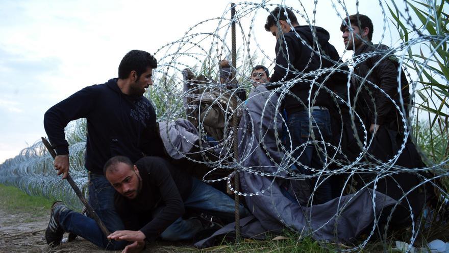 Refugiados sirios entran en Hungría por debajo de la valla de la frontera húngara, cerca de Roszke. 26 de agosto de 2015/ Ap - Bela Szandelszky