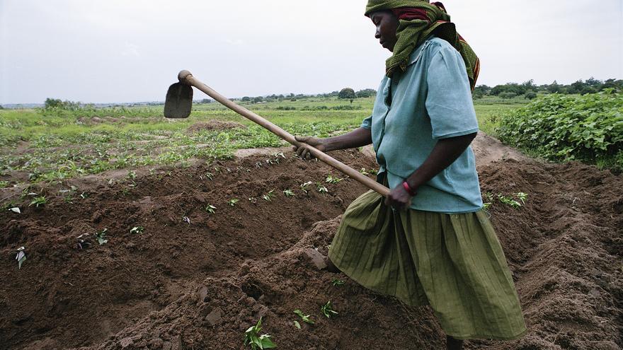 Una mujer trabaja la tierra en Tanzania, país con más de un 20% de subnutrición entre su población. /