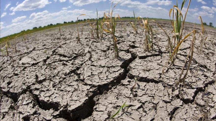 Sequía causará pérdidas agrícolas por 2.200 millones este año en California