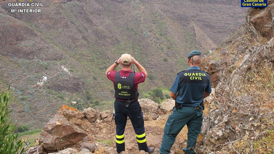 Agentes de Medio Ambiente del Cabildo de Gran Canaria y del Servicio de Protección de la Naturaleza (Seprona) de la Comandancia de la Guardia Civil en Las Palmas, durante el operativo.