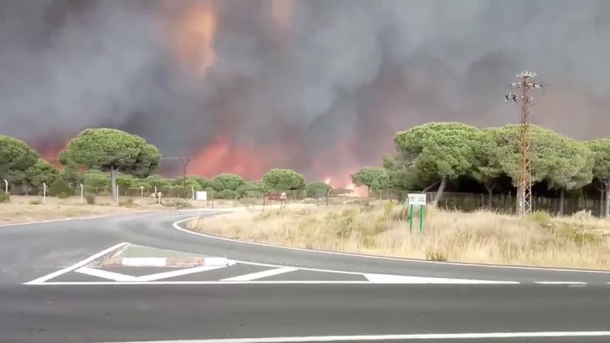Fuego en las carreteras próximas a Doñana.