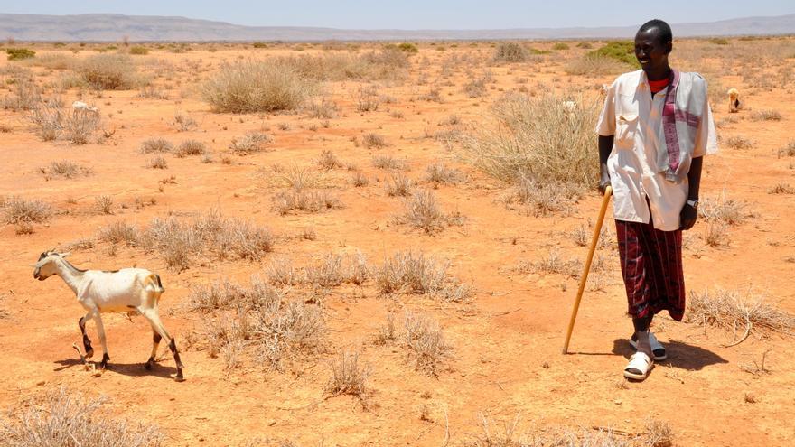 Imagen de las consecuencias de la sequía prolongada en África oriental / Oxfam.