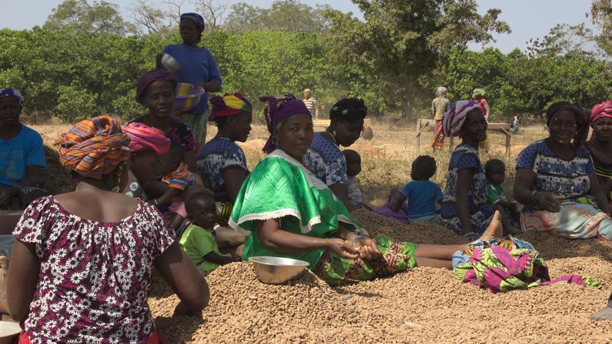 Varias mujeres durante el proceso de producción de chufa africana en Burkina Faso.