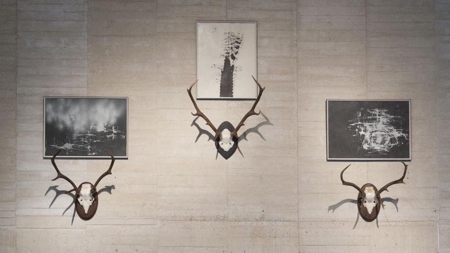 Vista de la exposición en el MUSAC de Dario Corbeira