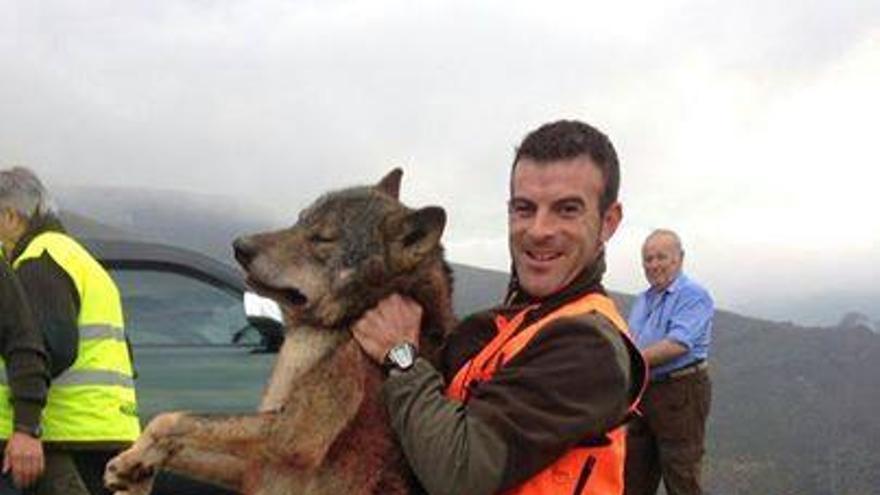 Imagen del lobo abatido en Karranza que ha circulado por las redes sociales 