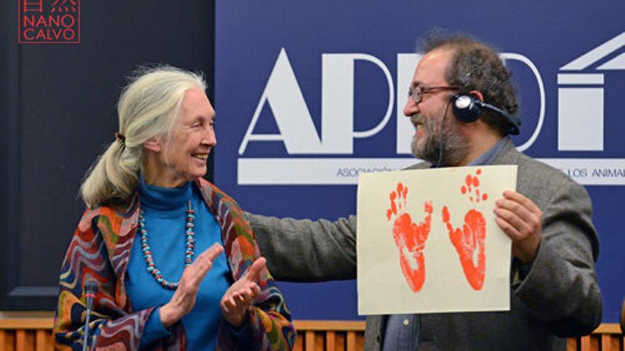 El diputado Chesús Yuste entregando a la primatóloga Jane Goodall el Premio Internacional APDDA. Foto: Nano Calvo