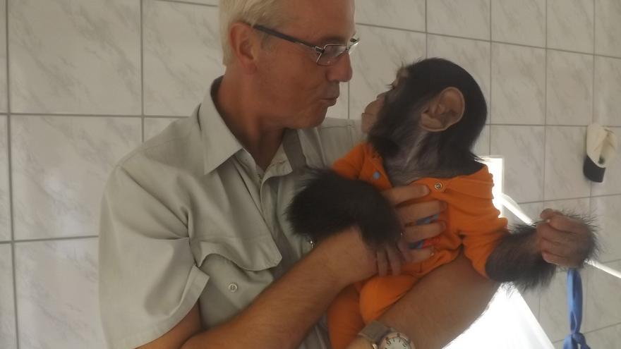 Pedro Pozas con un bebé gorila rescatado. Foto: Proyecto Gran Simio