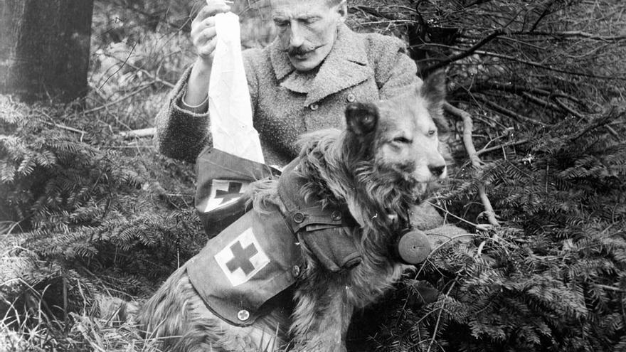 Soldado británico con su perro en el frente. Primera Guerra Mundial, 1915. Foto: Library Congress