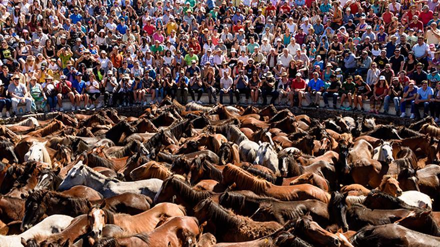 El 'curro' tiene capacidad para 1.500 personas. Foto: El caballo de Nietzsche