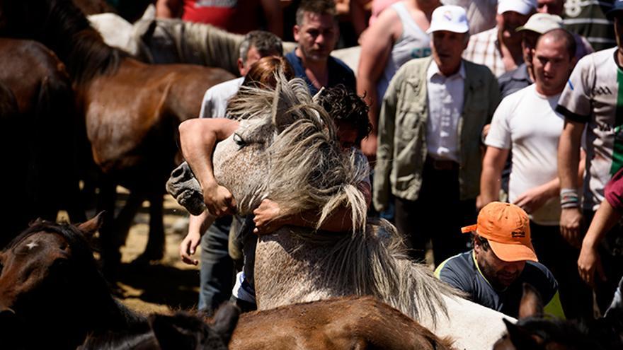 Dos hombres reducen a un caballo contra su voluntad. Foto: El caballo de Nietzsche