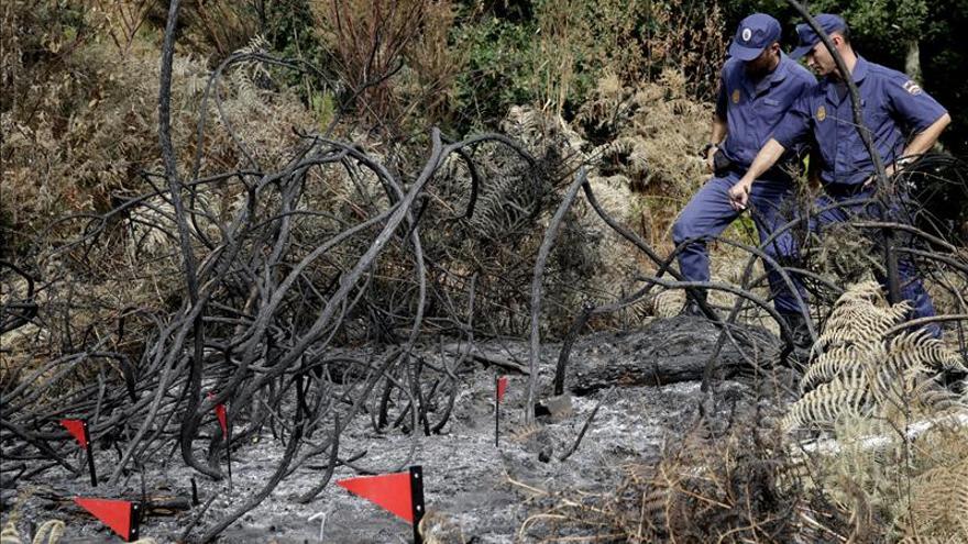 Extinguidos dos incendios surgidos la pasada noche que quemaron 62 hectáras en Riós