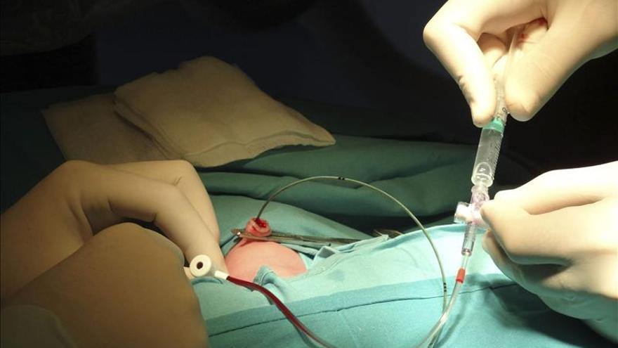 Médicos del Hospital La Paz colocan un marcapasos a un bebé nada más nacer por cesárea