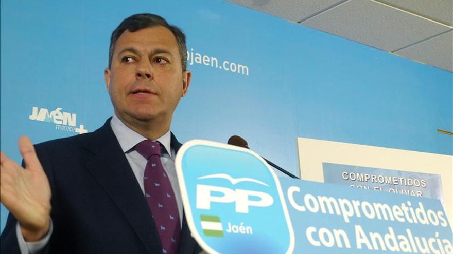 Sanz-descarta-congreso-PP-candidato_EDIIMA20131128_0101_25.jpg