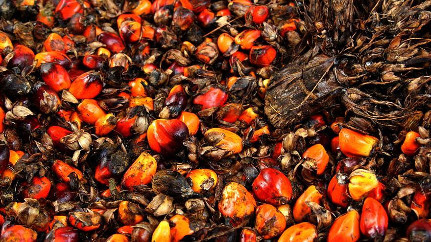 Frutos rojos aceite de palma. Fotografía Laura Villadiego