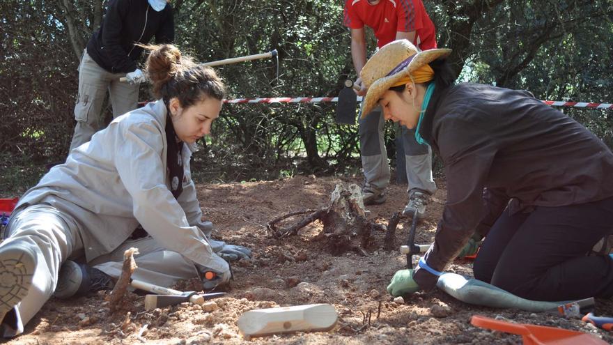 Los alumnos que realizan la excavación en el monte de La Orbada (Salamanca). J.S.