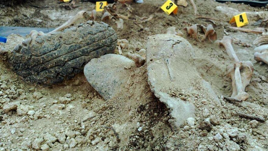 Fosa común exhumada en El Baldío, Alcalá del Valle (Cádiz). / ARMH