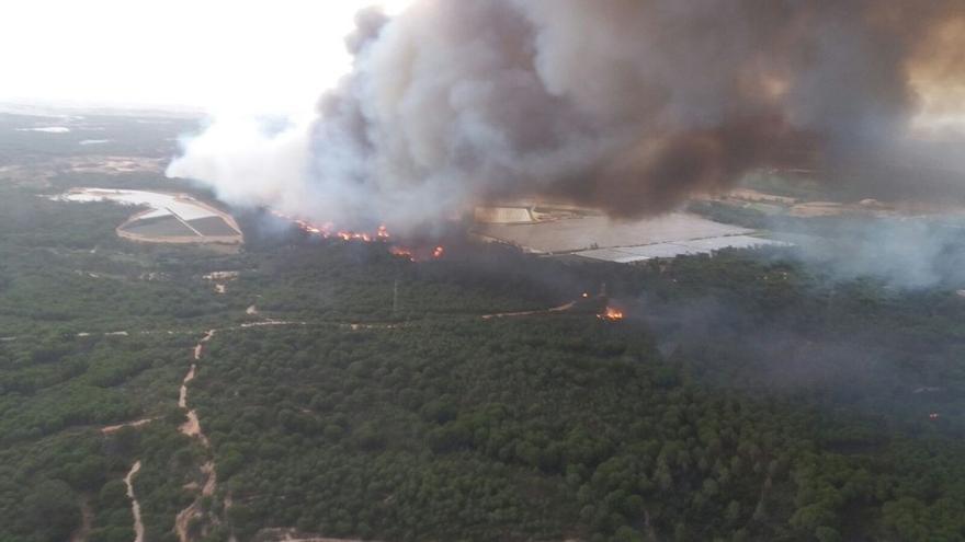 Declarado un incendio forestal en un paraje de Moguer