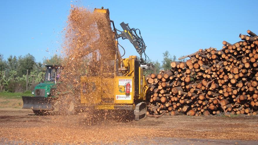 La Junta incentiva cerca de 23.000 proyectos de biomasa con 61 millones de euros