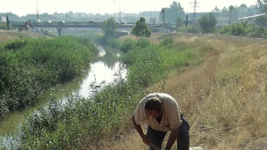Aguas subterráneas del sondeo Barriomar incorporándose al río Segura. A unos 400 metros del Ayuntamiento de Murcia en 2006