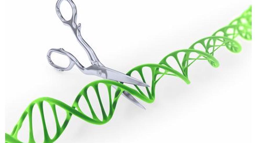 CRISPR, una técnica que debe ser cuidadosamente regulada