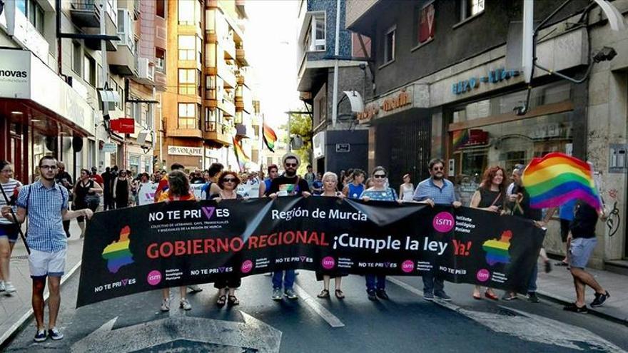 Desfile-LGTBI-JAVIER-DIAZ-PERIAGO_EDIIMA20170617_0385_4.jpg