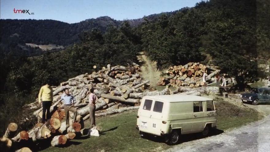 Fotografía de denuncia por la deforestación de los bosques de Cantabria en 1971. | MANUEL DE COS