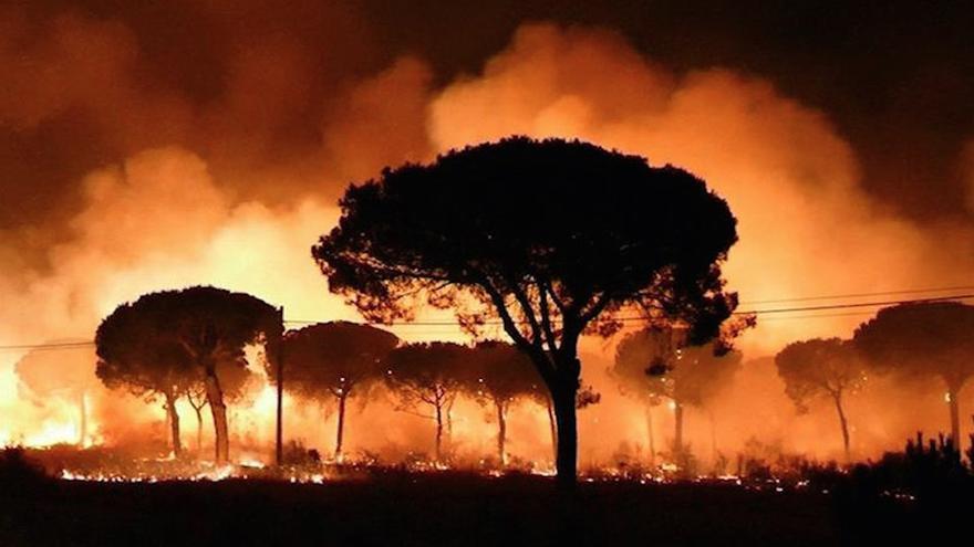 Imagen de EFE Televisión del incendio declarado anoche en el paraje La Peñuela de Moguer (Huelva) 