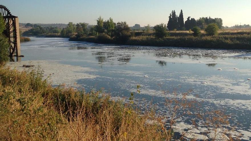 El río Tajo en su paso por Toledo cubierto de espuma | Plataforma Tajo Toledo