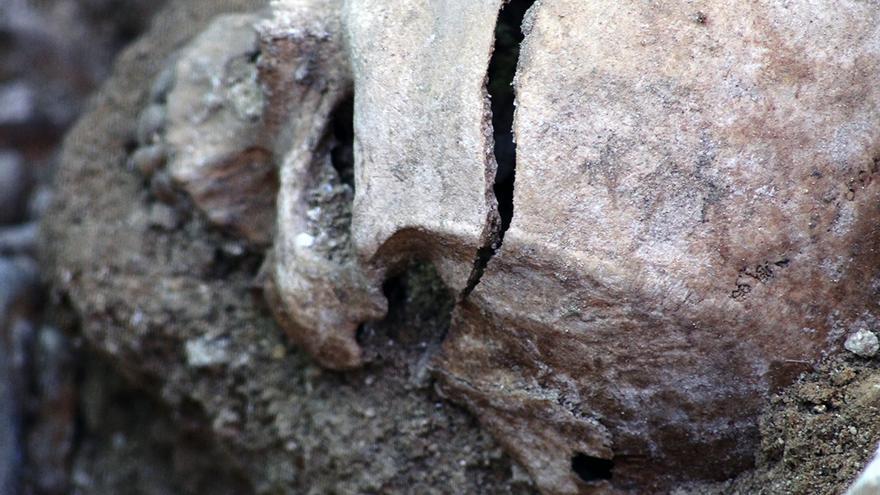 Un cráneo perforado por una bala en Lucena. | JUAN MIGUEL BAQUERO